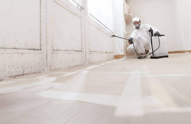 24/7 Emergency Mold Remediation experts in Paris, VA